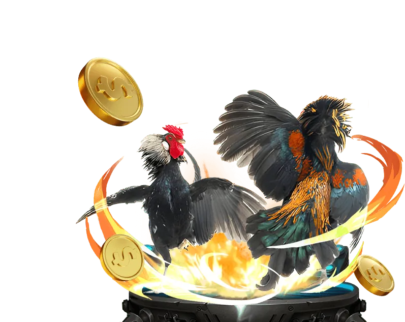 Giới thiệu chương trình VIP Nhatvip888